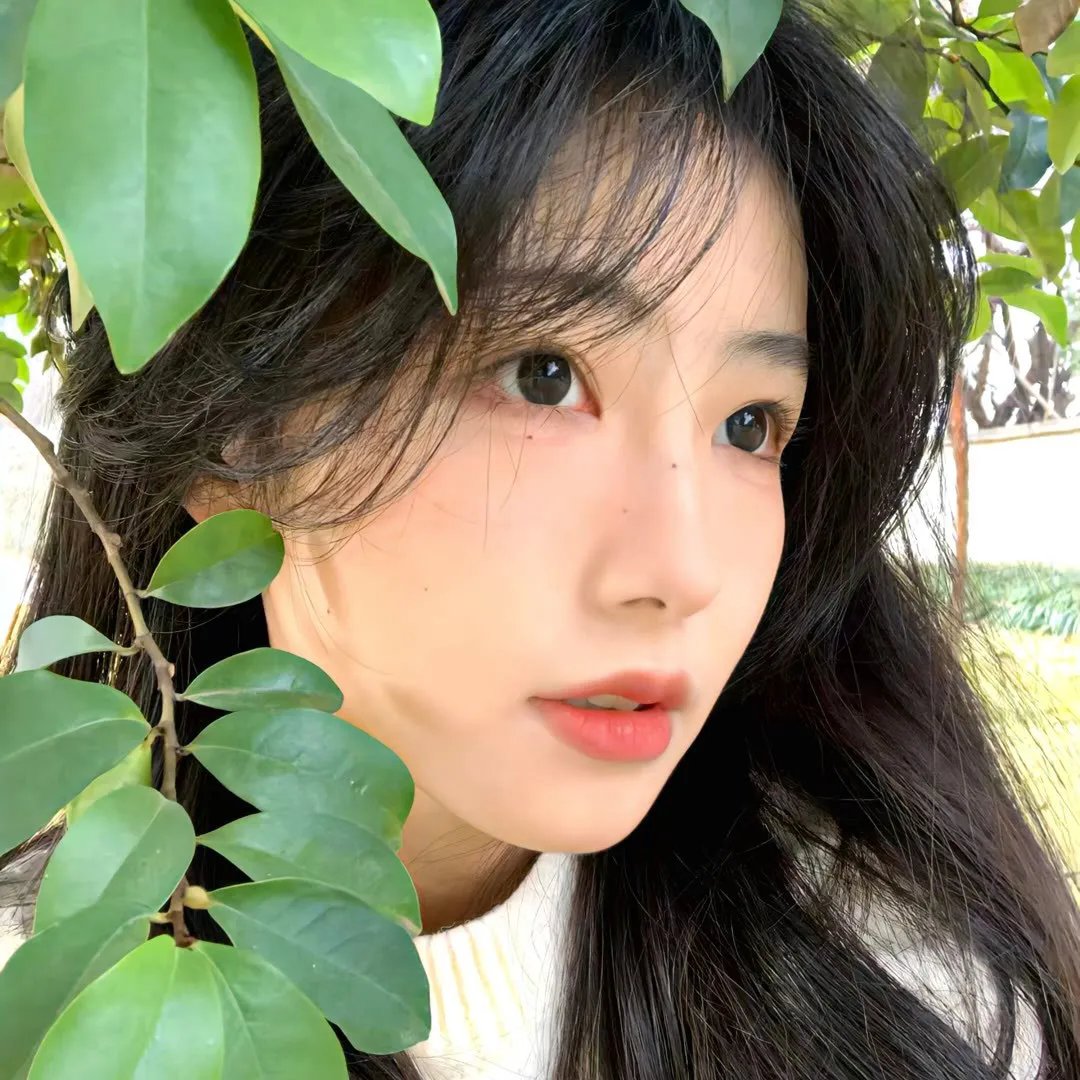 两个阿尔弗雷德